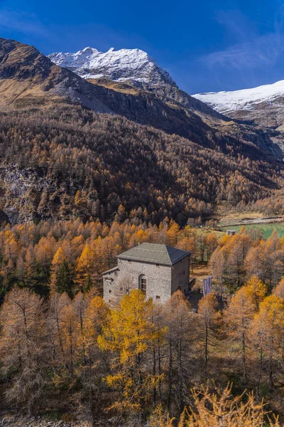 stock image View out of the Bernina Express train of Rhaetian Railway Line on a autumn day, background the Bernina mountain