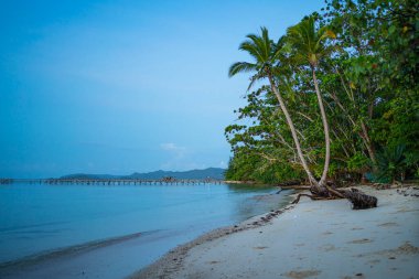 Waisai adasındaki Saporkren köyünün kıyı şeridi, Raja Ampat, Batı Papua