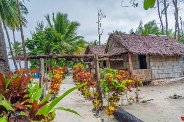 Aile Adası, Raja Ampat, Endonezya 'daki palmiye ağaçları arasında geleneksel olarak inşa edilen bambu kulübeleri.