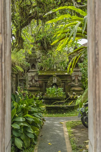 Вхід Традиційного Балійського Будинку Зеленими Рослинами Кам Яними Скульптурами Убуді — стокове фото