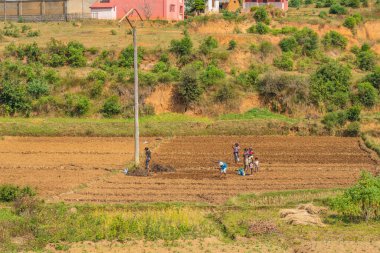 Madagaskar 'ın panoramik manzarası. Andasibe yolunda tarlalar ve çiftçiler çalışıyor.