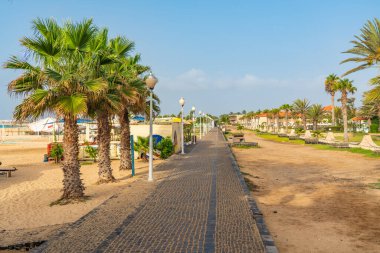 Santa Maria, Sal Adası - Cape Verde, Ekim 02.2023: Ağaçlı Santa Maria gezinti alanı