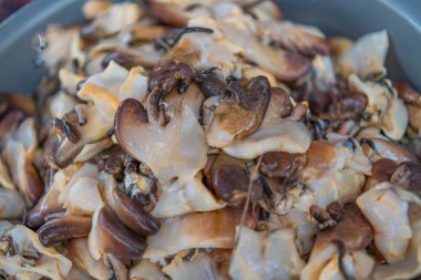 Cape Verde için kabuklu deniz ürünleri. Mindelo, Sao Vicente, Cape Verde 'deki balık pazarında.