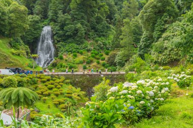 Sao Miguel, Portekiz - 7 Haziran 2024: Parque Natural da Ribeira dos Caldeiroes 'deki Hydrangea çiçeği, şelaledeki köprüde yaşayan insanlar