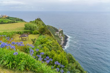 Flowers at a lookout to the Lighthouse Ponta do Arnel near Nordeste town in Sao Miguel, Azores Island clipart