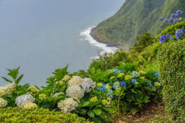 Ponta do Sossego, Sao Miguel Adası. Dağdaki çiçekler ve Miradouro da Ponta do Sossego Nordeste 'deki okyanus manzarası,