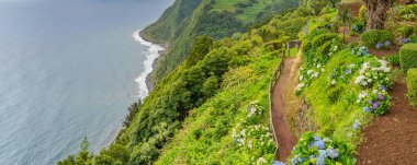 Ponta do Sossego, Sao Miguel Adası. Dağdaki çiçekler ve Miradouro da Ponta do Sossego Nordeste 'deki okyanus manzarası,
