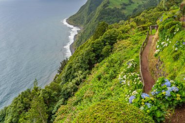 Ponta do Sossego, Sao Miguel Adası. Dağdaki çiçekler ve Miradouro da Ponta do Sossego Nordeste 'deki okyanus manzarası,