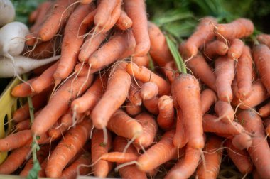 Tahta bir masada havuç..