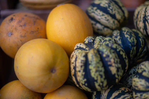 Piyasada taze balkabakları