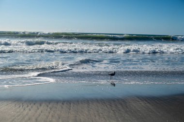 Deniz kıyısının güzel manzarası
