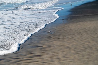 Dalgalar ve köpük sahilde