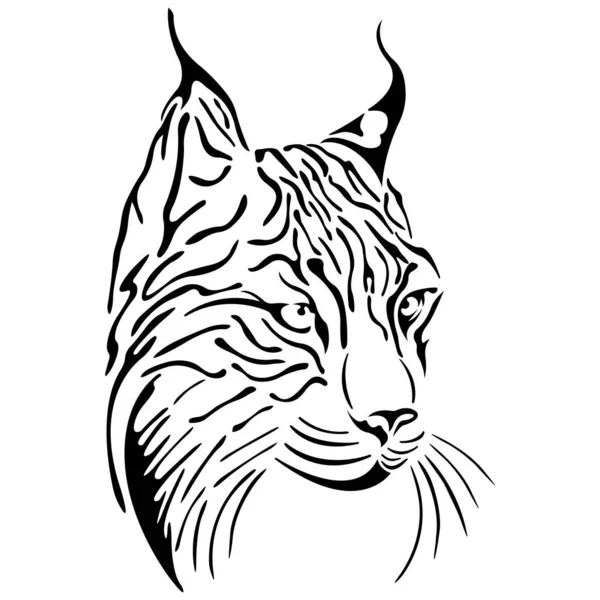 Portrait Muzzle Lynx Black Drawn Different Lines Design Logo Tattoo — Stock Vector