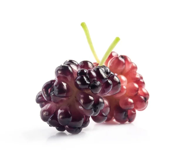 Ωρίμανση Βιολογικών Καρπών Mulberry Που Απομονώνονται Λευκό — Φωτογραφία Αρχείου