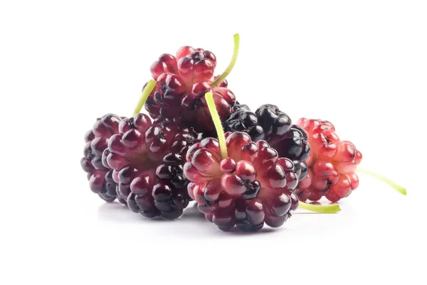Ωρίμανση Βιολογικών Καρπών Mulberry Που Απομονώνονται Λευκό — Φωτογραφία Αρχείου