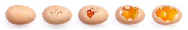 Step Broken Chicken Egg Isolated White Background — Stock Photo, Image