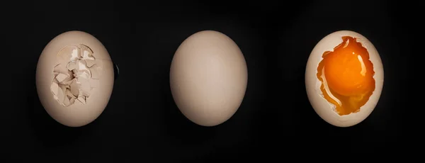 Huevos Pollo Sobre Fondo Negro —  Fotos de Stock