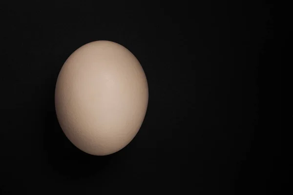 Chicken Egg Black Background Stock Picture