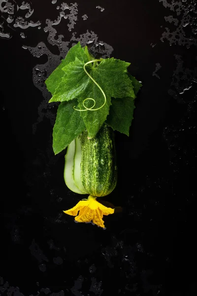 Cucumber Slices Flower Leaf Spiral Tendril Black Background Stock Photo