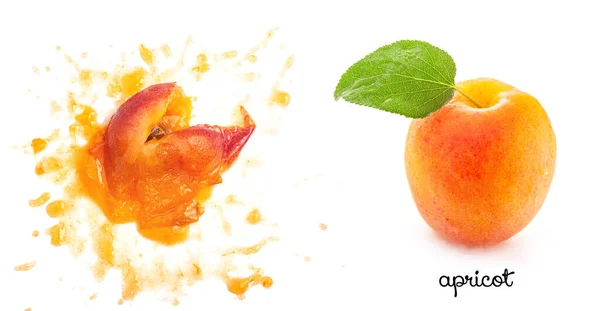 Squashed Ripe Apricot Isolated White Stock Photo