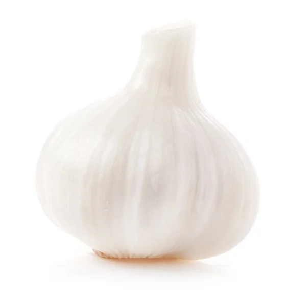 Garlic Isolated White Background Stock Photo
