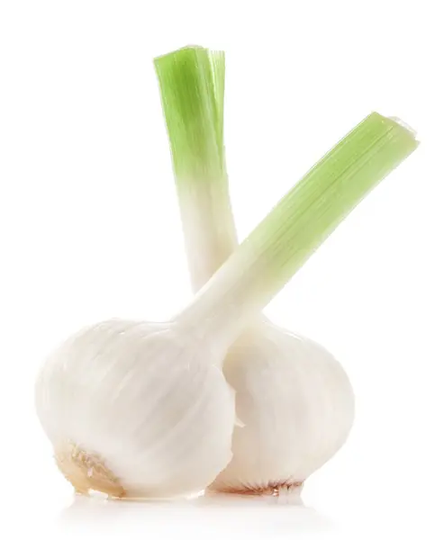Garlic Isolated White Background Royalty Free Stock Photos