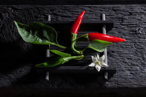 stock image Hot red chili pepper on black old wooden table