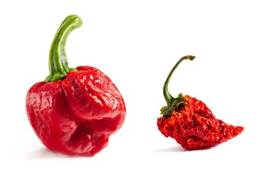 Red Carolina Reaper pepper. Fresh and dry fruits. Is a variety of chili pepper have a heat rating of 1,150,000 - 2,200,000 Scoville units clipart