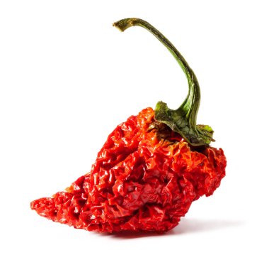 Ped Carolina Reaper dry pepper. Is a variety of chili pepper have a heat rating of 1,150,000 - 2,200,000 Scoville units clipart