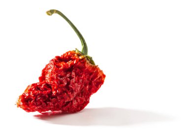 Red Carolina Reaper dry pepper. Is a variety of chili pepper have a heat rating of 1,150,000 - 2,200,000 Scoville units clipart