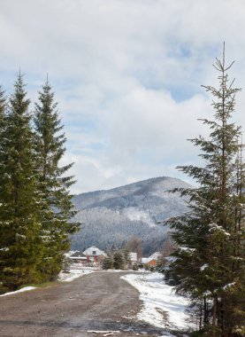   Karpatya köyü bahar karıyla buluşuyor: karla kaplı çatılar