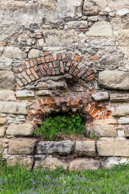  Taş ustası ve yeşil filizler