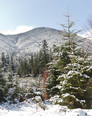  Kar tepesinde kış dağları