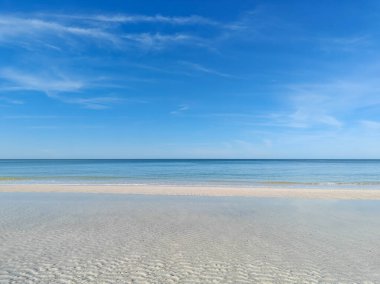 Mavi gökyüzü olan tropik bir sahil. Florida, ABD