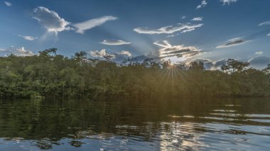 Kolombiya yağmur ormanı manzarası nehirden
