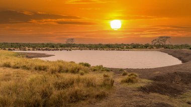 Gün batımında güzel Afrika manzarası (Kenya Afrika)
