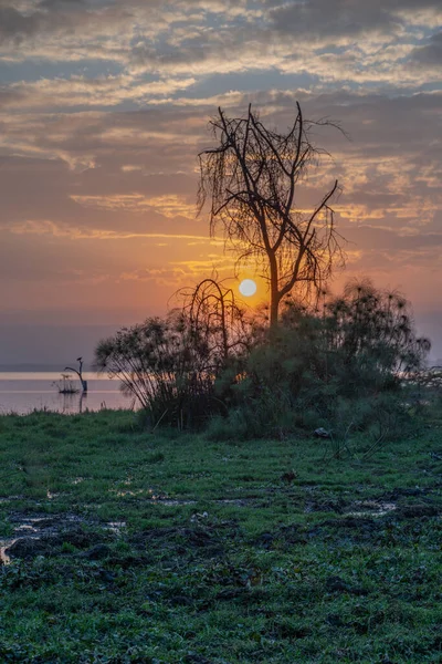 Gün Batımında Güzel Afrika Manzarası Kenya Afrika — Stok fotoğraf