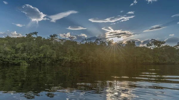 Kolombiya yağmur ormanı manzarası nehirden