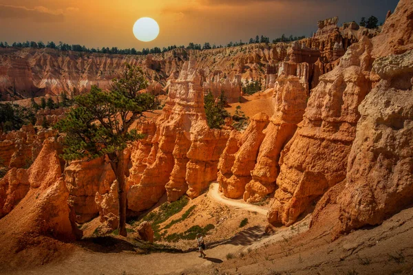 Southwest Usa Bryce Canyon National Park Rocky Town Red Rose — ストック写真