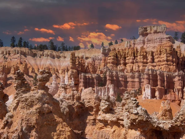 Southwest Usa Bryce Canyon National Park Rocky Town Red Rose — 图库照片