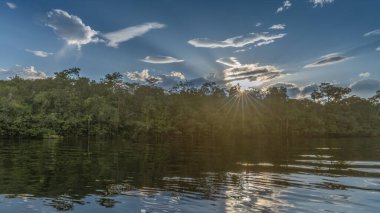 Kolombiya yağmur ormanı manzarası nehirden