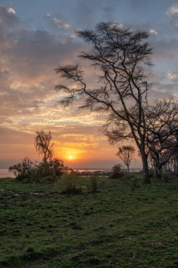 Gün batımında güzel Afrika manzarası (Kenya Afrika)