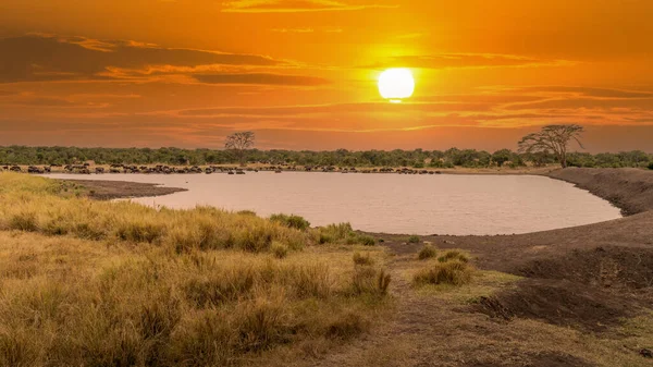 Gün Batımında Güzel Afrika Manzarası Kenya Afrika — Stok fotoğraf