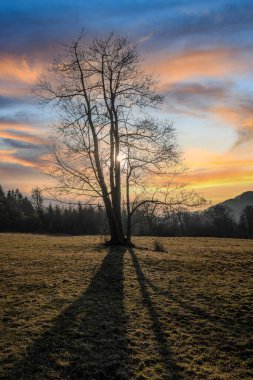 Çek Merkez Dağı (Çek Cumhuriyeti) Avrupa 'nın gün batımı.