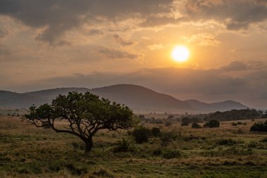Gün batımında güzel Afrika manzarası (Kenya Afrika)