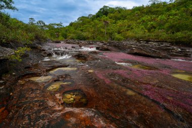 Kolombiya 'daki gökkuşağı nehri ya da beş renk nehri en güzel doğa yerlerinden biridir, adı Kristal Kanyon' dur.