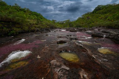 Kolombiya 'daki gökkuşağı nehri ya da beş renk nehri en güzel doğa yerlerinden biridir, adı Kristal Kanyon' dur.
