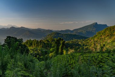 beautiful landscape with mountains in the background srilanka