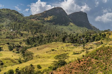 Arka planda dağlar olan güzel bir manzara Srilanka