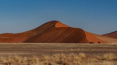 Namib Çölü 'nde kum tepeleri ve Namibya' nın ön planında ağaçlar.